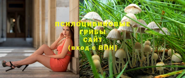 эйфоретик Медногорск
