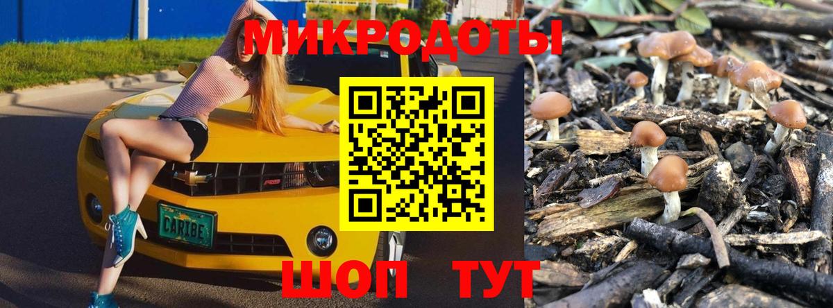 Миллерово  Галлюциногенные грибы мухоморы  Вход с VPN 