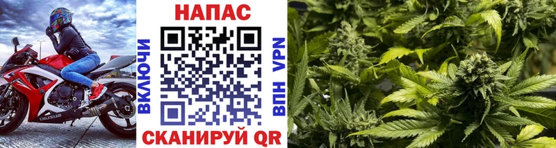 shop телеграм  купить  сайты  Миллерово  Шишки марихуана ГИДРОПОН 